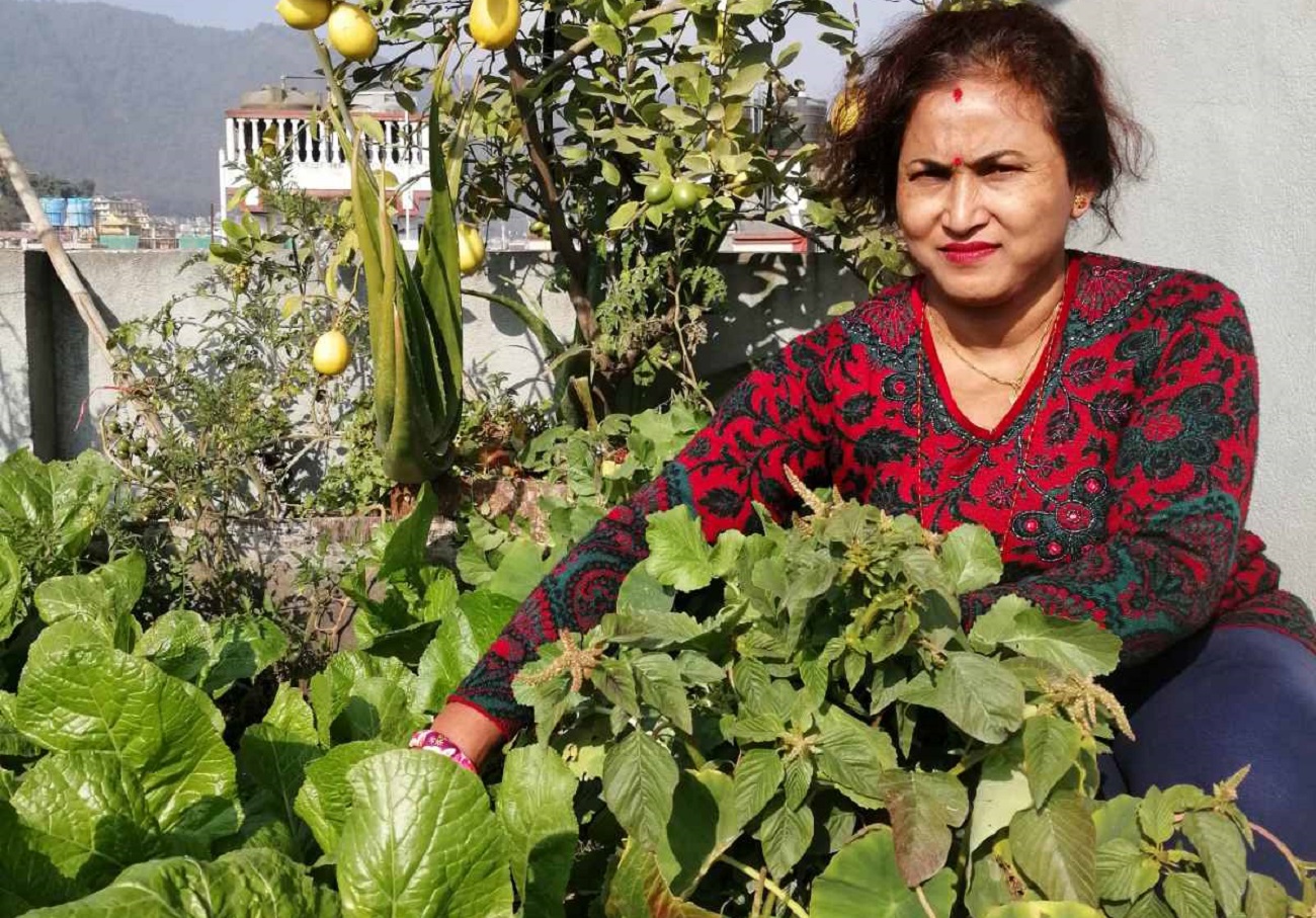 भगवती श्रेष्ठ आफ्नो कौसीबारीमा।